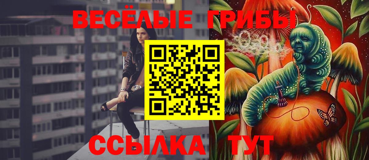 Галлюциногенные грибы GOLDEN TEACHER  Вход с VPN  Петрозаводск 